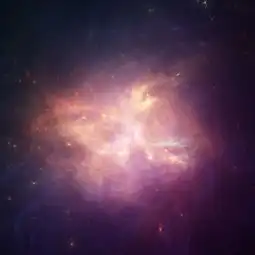 追光者十孔口琴
