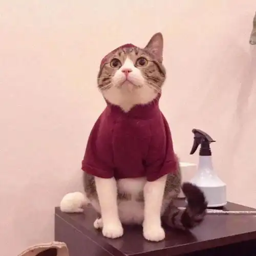 微信头像宝贝该换微信头像啦
