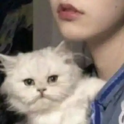 猫咪情侣头像
