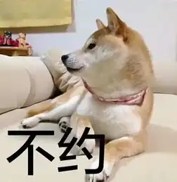 萌宠界的领导者日本柴犬
