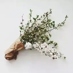情人节里他们把这样动人的三行情书递给了父母
