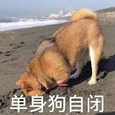 单身狗表情包头像,没有对象的必备头像

