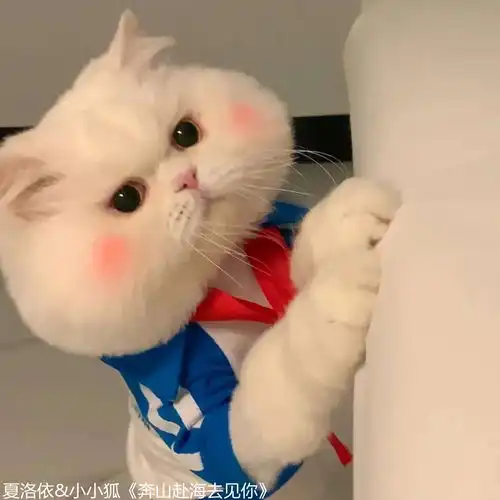 拈过花惹了白钱潮小小狐高音质在线试听拈过花惹了白歌词歌曲下载酷狗音乐
