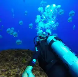 加拿大情侣模仿网络红人拍牵手背影旅行照秀恩爱
