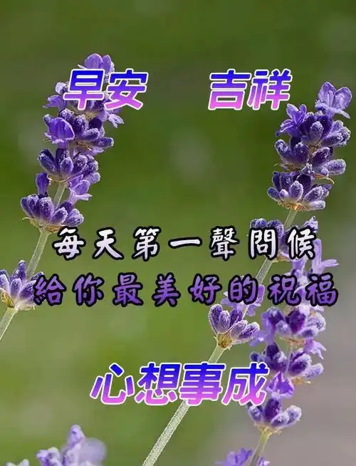2021年8月4日星期三早上好问候祝福动态表情图片周三最新早安问候语动态图片表情
