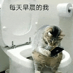 林生斌这就洗白了
