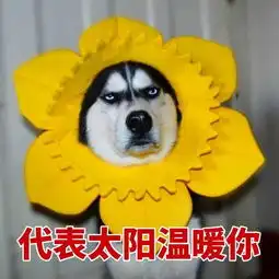 对科目二有阴影了怎么办该怎样通过