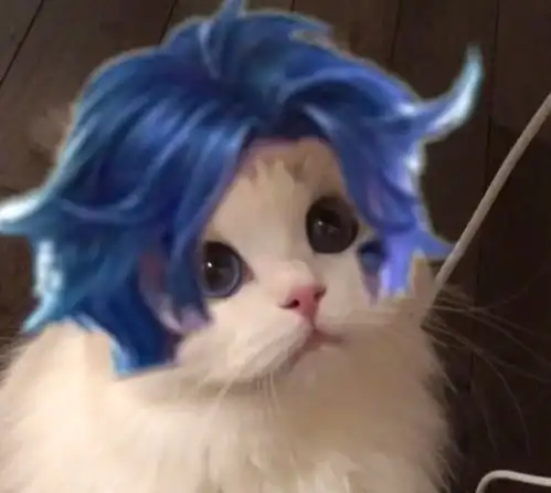 王者荣耀猫咪坦克头像王者荣耀猫咪坦克接头大全快吧手游
