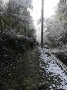 20190117奉化石门一大雷山顶一九龙潭穿越
