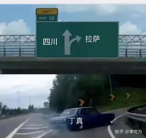 国民级网红丁真,三亚人民喊你来喝椰子看大海
