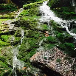 五女峰五女峰国家森林公园风景图片
