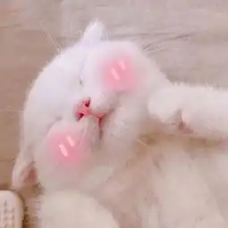 可爱喵叽.
