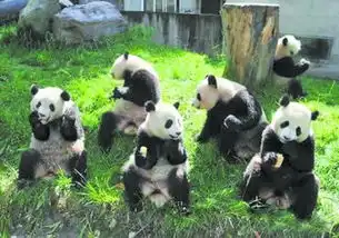 哥看的不是天空是寂寞
