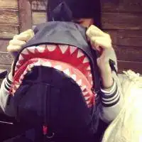 哪张图片好看
