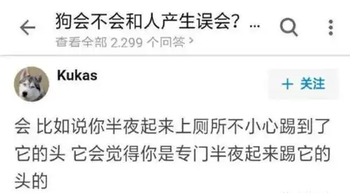 爆笑趣图19人生悲剧穷得无法做坏事,熟得无法做情侣
