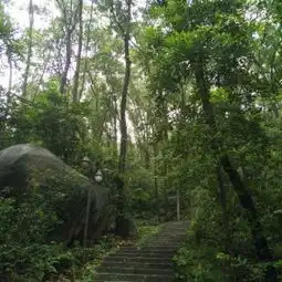 蕉石岭森林公园门票,增城蕉石岭森林公园攻略地址图片门票价格
