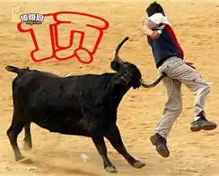福克斯社区图片集锦

