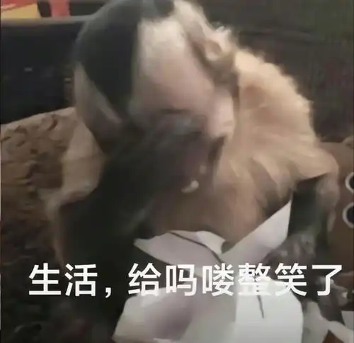 当代牛马打工人的现状生活太苦了,连尿都是苦的
