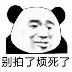 搞笑沙雕熊猫头表情包

