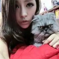 抱猫的女生头像唯美微信头像图片大全
