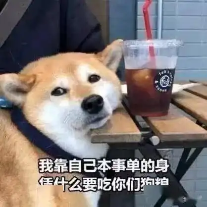 周董mojito促成游戏玩家喜结良缘解救单身的特别教程还不来学
