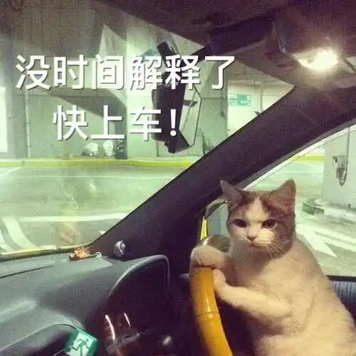 特别企划丨太原ume影城云吸猫大赛开始啦
