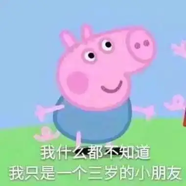 宝宝看了这个动画片开始跳泥坑学猪叫
