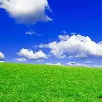 绿意葱葱的自然之景微信头像图片微信头像图片大全
