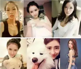 为什么人们都喜欢网红
