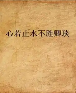 心若止水不胜卿琰

