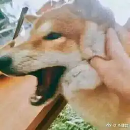 一切还没有结束燃向
