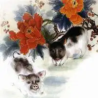 属猪人微信头像吉祥发财图片微信头像图片大全
