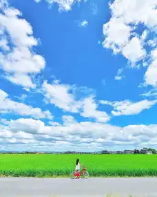 他偷拍女儿3年,美成宫崎骏动画,惊艳30万朋友圈
