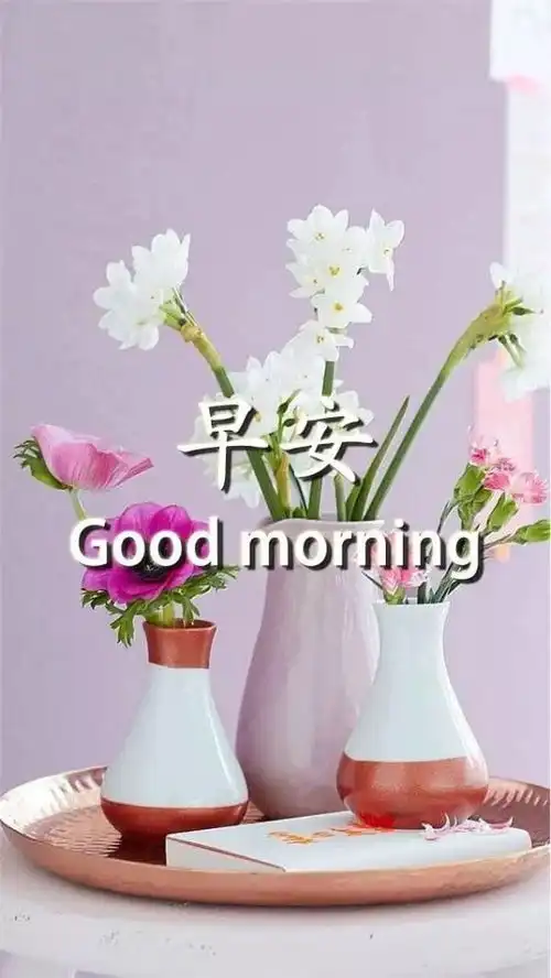 早安心语简单签名正能量心情说说
