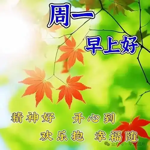 2024年8月26日星期一秋天早安祝福图片,落叶知秋,愿你入秋心情清凉,事业火热,健康平安网易订阅
