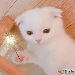 恋舞ol第114期周刊你好,2018
