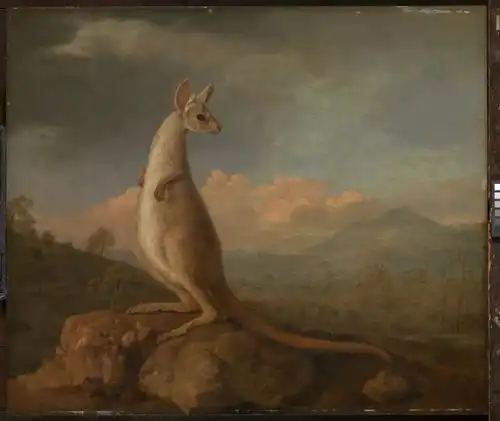 向大师致敬georgestubbs
