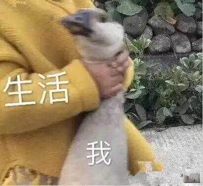 鹤壁的冬天真的来了气温强势降到冰点还有几个坏消息,当看到最后一个...
