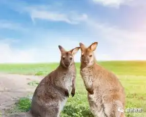 正式在南航假期上线
