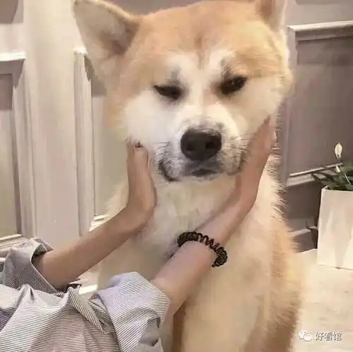 高逼格的头像分享头像霸气冷酷伤感霸气伤感的黑白头像最冷酷
