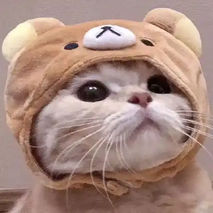 萌宠搞怪情侣头像
