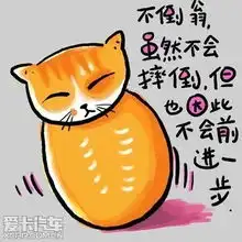天使也掉毛的相片
