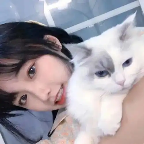 果然,猫和美女绝配丨第183期喵表情

