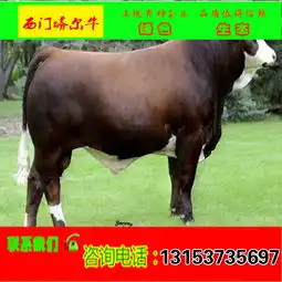 通辽市肉牛养殖场