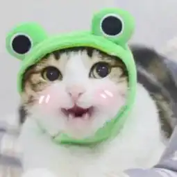 想找到这对情侣头像的另外一张,是一只柴犬
