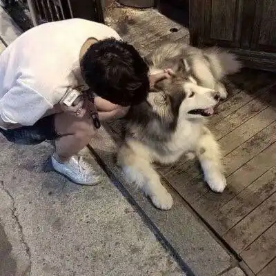 11.12优质男头2

