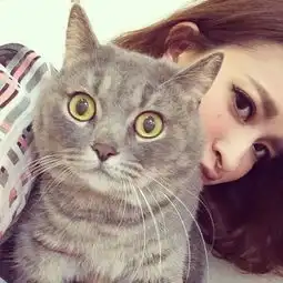 黑白情侣头像,女的肩膀上有只猫
