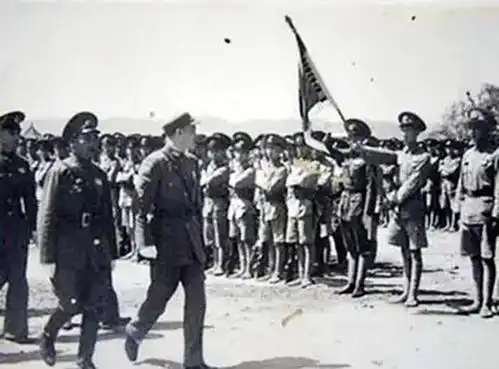 1951年7个老农刨开戴笠墓,开棺后发现有烧焦的残骨,九龙剑一把

