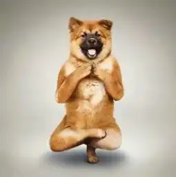 车辆锁档看这里,分分钟成为变速箱诊断小达人
