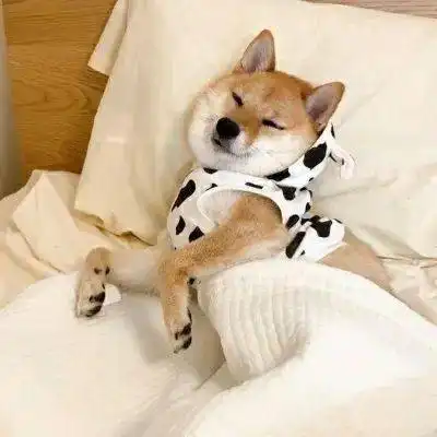 今日头像正义都能迟到为什么我上学就不能迟到
